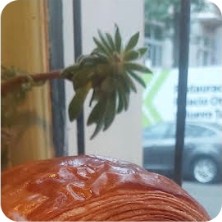 Pain au chocolat en Matilde